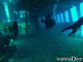 scuba diving photo