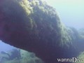 scuba diving photo