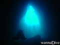 scuba diving photo