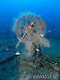 scuba diving photo