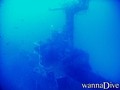 scuba diving photo