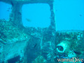 scuba diving photo