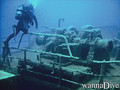 scuba diving photo