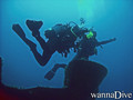 scuba diving photo