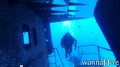 scuba diving photo