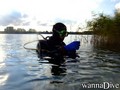 scuba diving photo