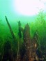scuba diving photo