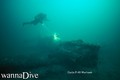 scuba diving photo