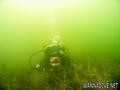 scuba diving photo