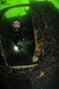 scuba diving photo
