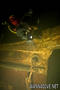 scuba diving photo
