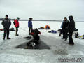 scuba diving photo