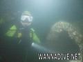 scuba diving photo