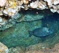 scuba diving photo