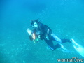 scuba diving photo