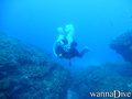 scuba diving photo