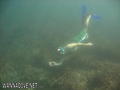 scuba diving photo