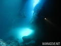 scuba diving photo