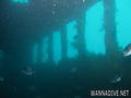 scuba diving photo