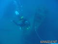 scuba diving photo