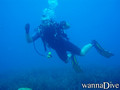 scuba diving photo