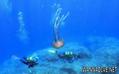 scuba diving photo