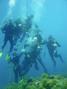 scuba diving photo