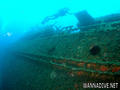scuba diving photo