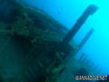 scuba diving photo