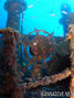 scuba diving photo