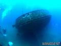 scuba diving photo