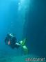 scuba diving photo