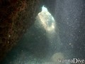 scuba diving photo
