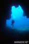 scuba diving photo