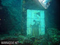 scuba diving photo