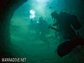 scuba diving photo