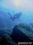 scuba diving photo