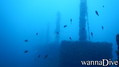 scuba diving photo
