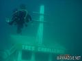 scuba diving photo