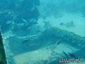 scuba diving photo