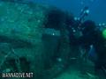 scuba diving photo