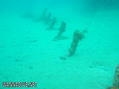 scuba diving photo