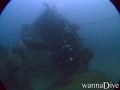 scuba diving photo