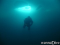 scuba diving photo
