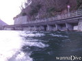 scuba diving photo