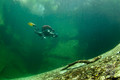 scuba diving photo
