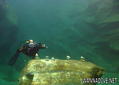 scuba diving photo