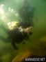 scuba diving photo