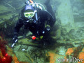 scuba diving photo