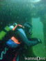 scuba diving photo